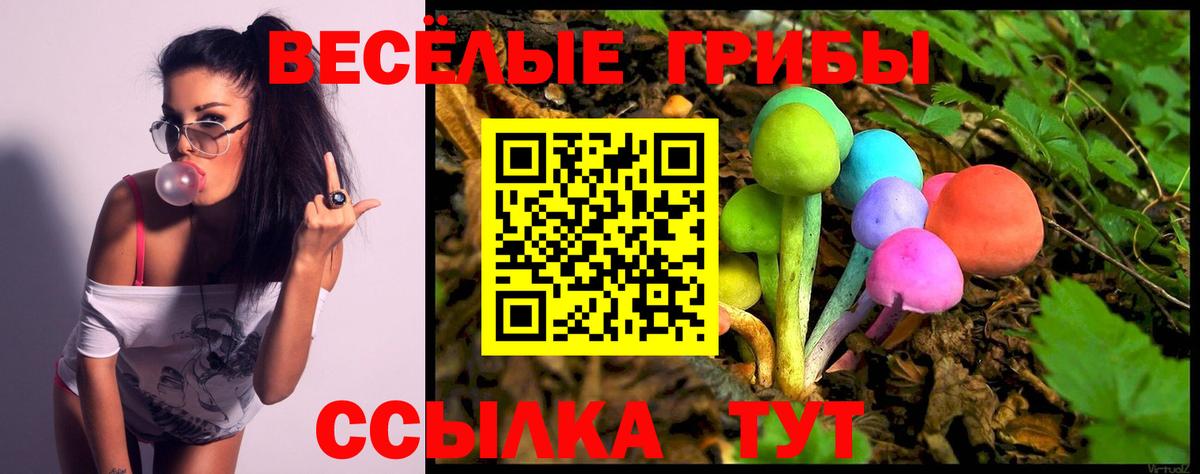 Псилоцибиновые грибы Psilocybine cubensis  Псилоцибиновые грибы Psilocybine cubensis  Вход с VPN  Балашов 